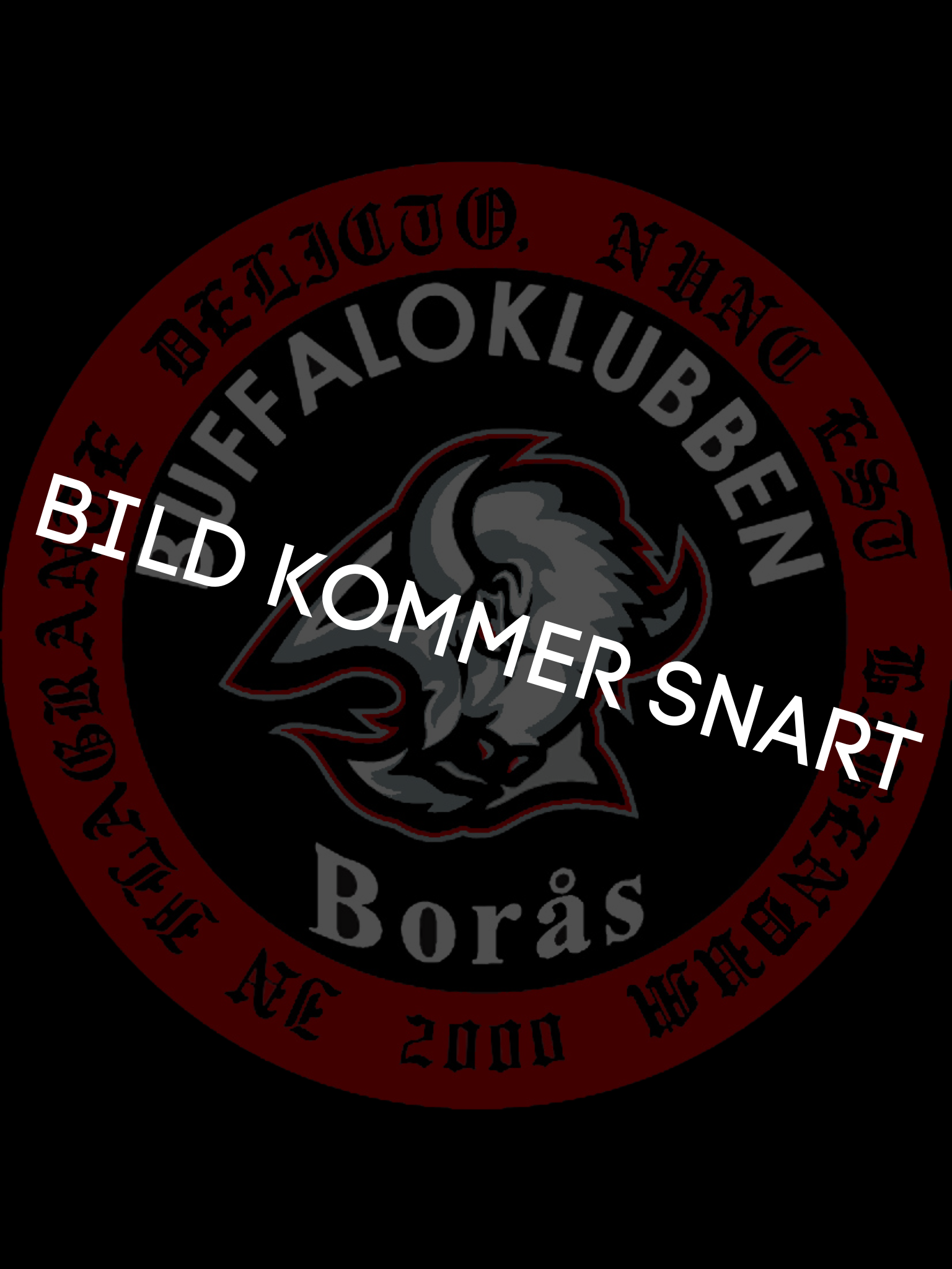 BILD KOMMER SNART